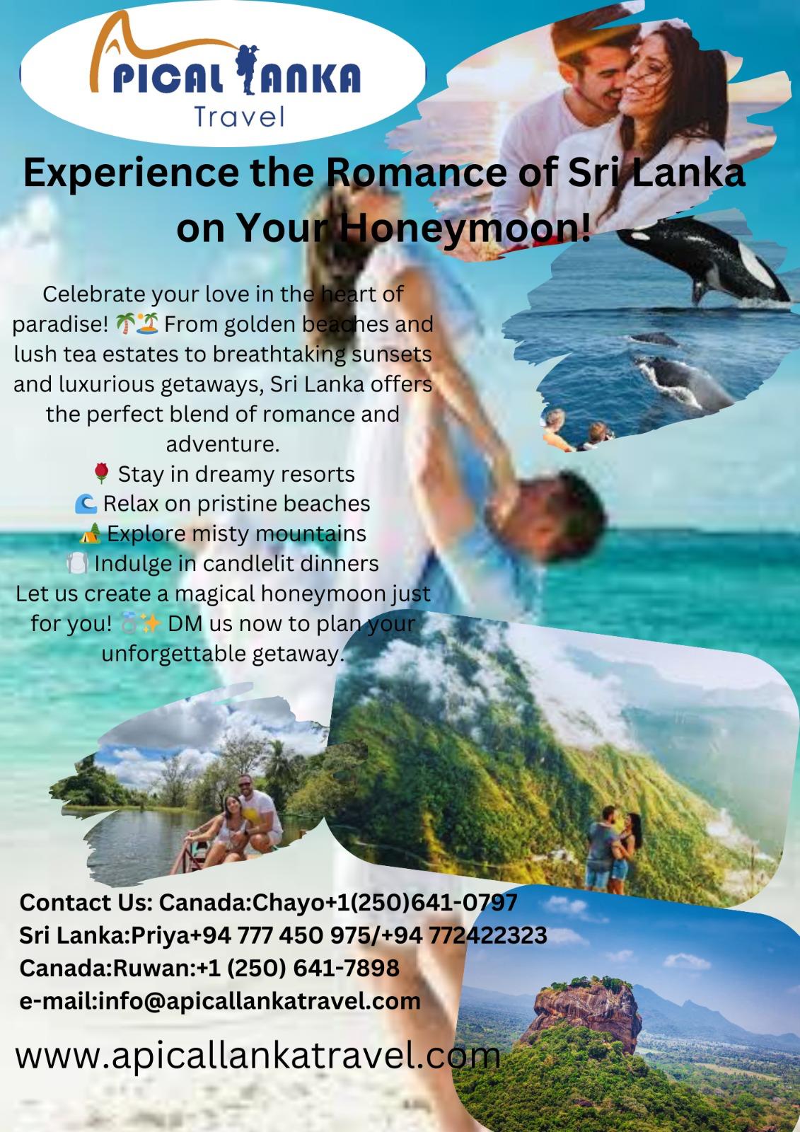 Experiance Romance of Beautiful Sri lanka